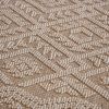 Guros Collection 72*48 inch Natural / Traditional Indoor / Outdoor Area Rug